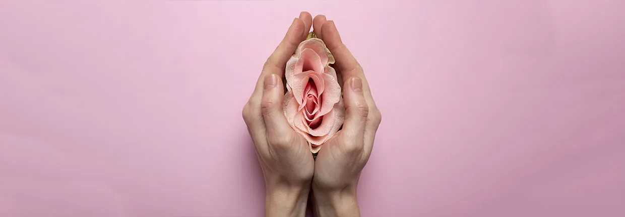 vanessa-pereira-imagem-interna-endometriose